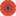 coquelicot
